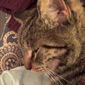 Meet your Posher, Sandee